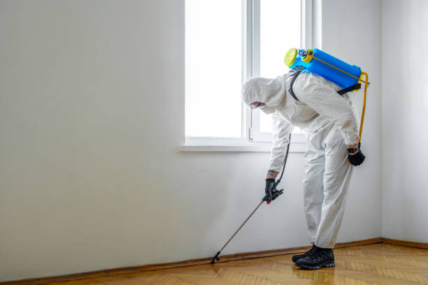 Best Pest Control Cost  in USA